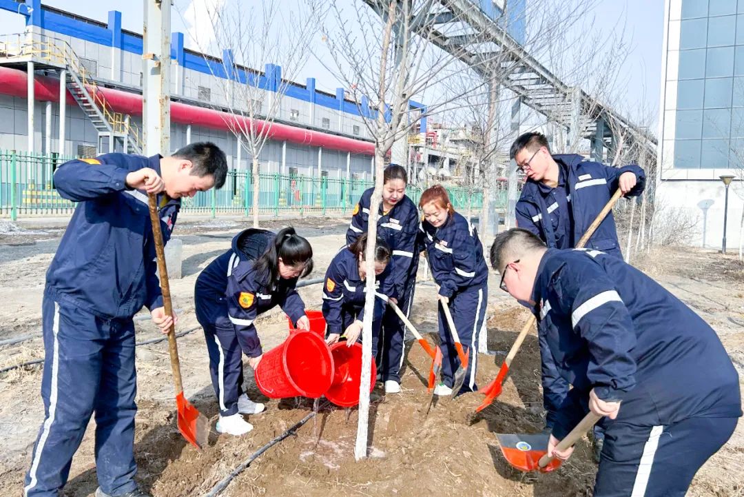 “植”此青綠共“樹(shù)”未來(lái)！集團(tuán)各公司開(kāi)展植樹(shù)活動(dòng)(圖19)